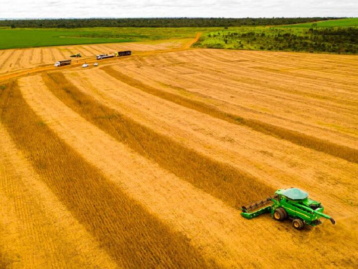 Sinop segue na liderança das exportações em Mato Grosso