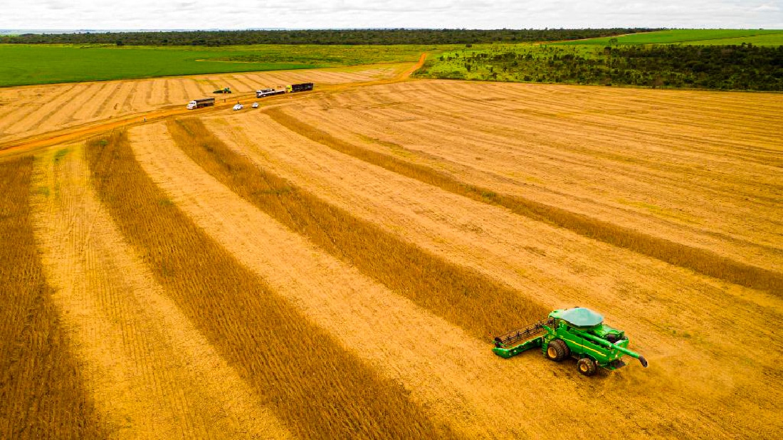 Sinop segue na liderança das exportações em Mato Grosso