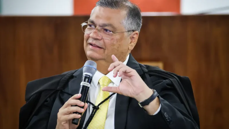 Divisa MT-PA: Flávio Dino dá 30 dias para o Pará responder às propostas de Mato Grosso no STF