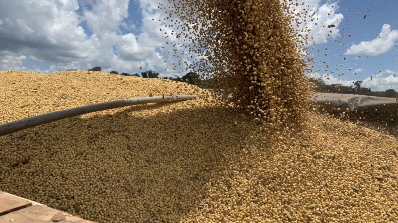Cotação da soja disponível em Mato Grosso sobe 1,6%