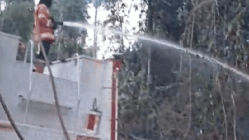 Incêndio atinge área de mata e palhada de milho na zona rural de Sinop