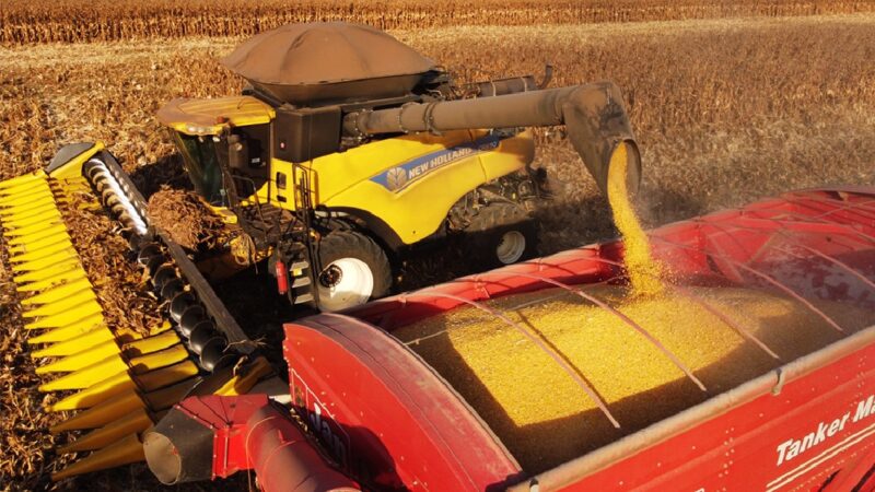 Sorriso perde a liderança e cai para 3º lugar entre os maiores produtores agrícolas do país, diz IBGE