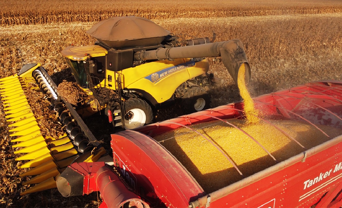 Sorriso perde a liderança e cai para 3º lugar entre os maiores produtores agrícolas do país, diz IBGE