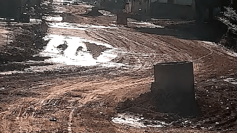 Obras de asfalto paradas em Sinop: vereador diz estar “decepcionado” e pede comissão para acompanhar licitações