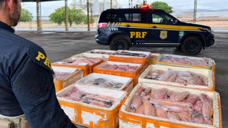 PRF apreende mais de uma tonelada de pescado irregular em ônibus na BR-174
