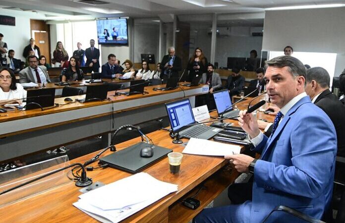 Comissão adia votação de projeto de ex-senadora de MT para autorizar porte de arma para mulheres com medidas protetivas