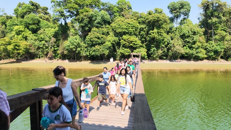 Dia da Árvore: imersão ambiental leva 560 pessoas ao Parque Florestal de Sinop