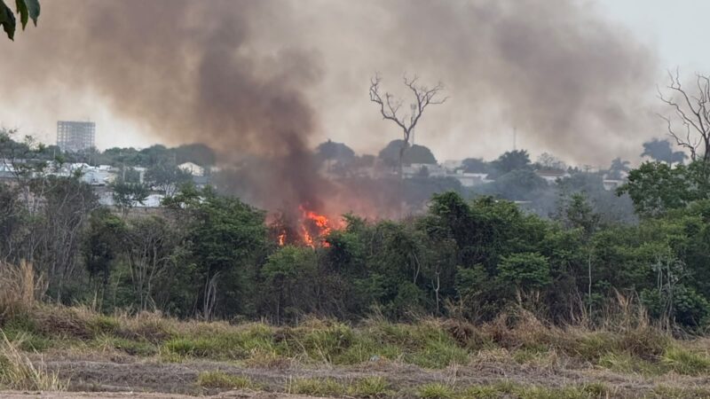 Fogo atinge área de reserva na Trilha da Bica, em Sinop