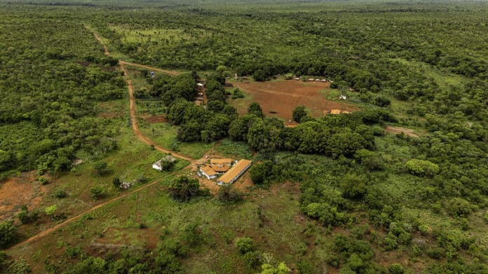 TRF nega pedido de produtores contra demarcar terra indígena de 1,1 milhão de hectares no Nortão