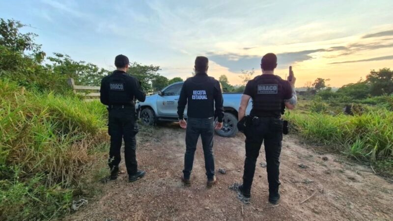 Operação Ganatum apura sonegação de ICMS no comércio de gado em Mato Grosso e Rondônia; R$ 30 milhões