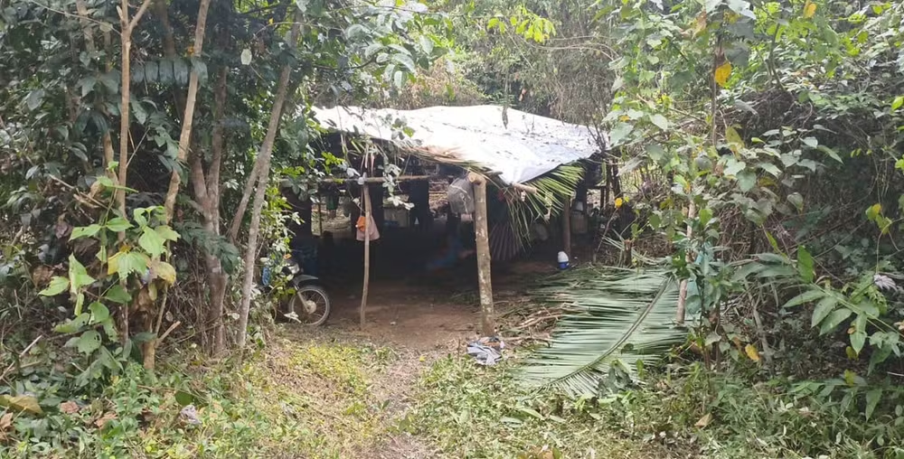 TRF1 mantém restrições de uso e cordão de isolamento para proteger indígenas isolados em Mato Grosso
