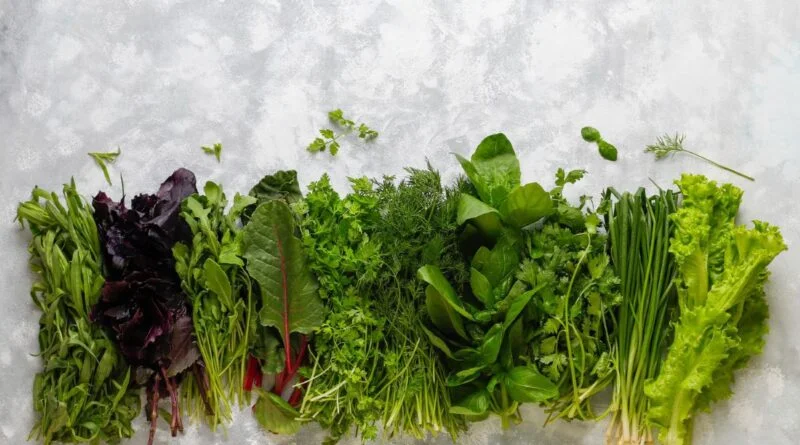 Verduras Verdes Escuras: O Poder Nutricional na Sua Dieta!