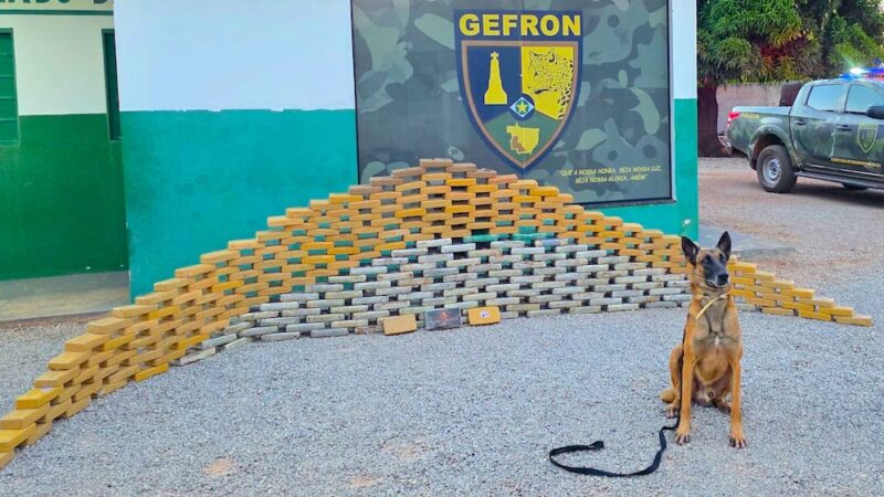 Gefron apreende R$ 5,5 milhões em cocaína escondida em malas na cabine de caminhão na BR-174