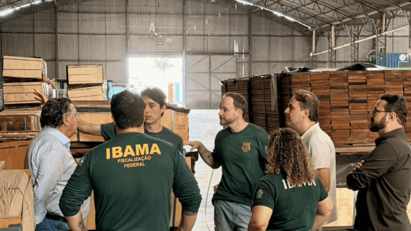 Setor madeireiro quer usar o Porto Seco de Cuiabá para exportar produtos florestais