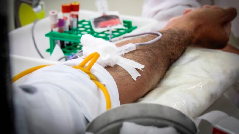 MT Hemocentro explica as novas regras para doação de sangue no Brasil