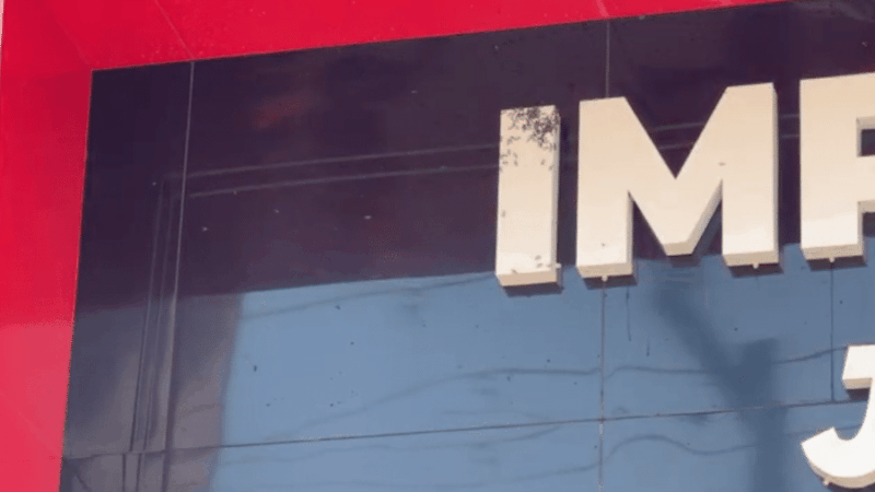 Bombeiros usam jato de água para afastar enxame de marimbondos em Sorriso