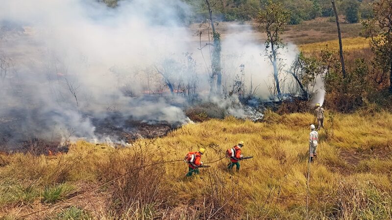 Bombeiros atuam em 13 incêndios florestais em MT; Marcelândia concentra mais ocorrências