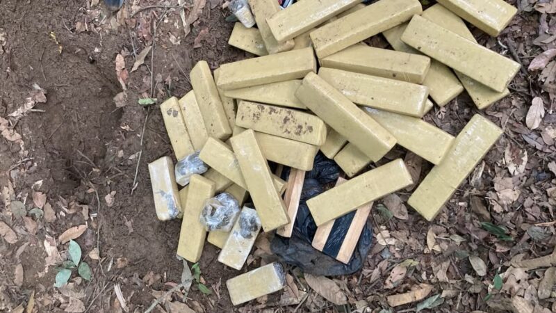 Polícia Civil apreende 40 quilos de maconha e cocaína em mata de Lucas do Rio Verde
