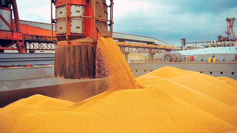 Exportações de Sinop caem 15,1% em setembro; Egito foi o principal comprador